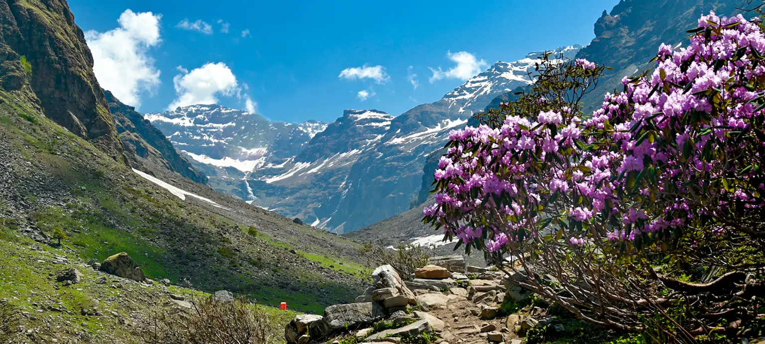 Rupin Pass Trek